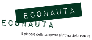 cropped-Logo-Econauta-main-ns.png